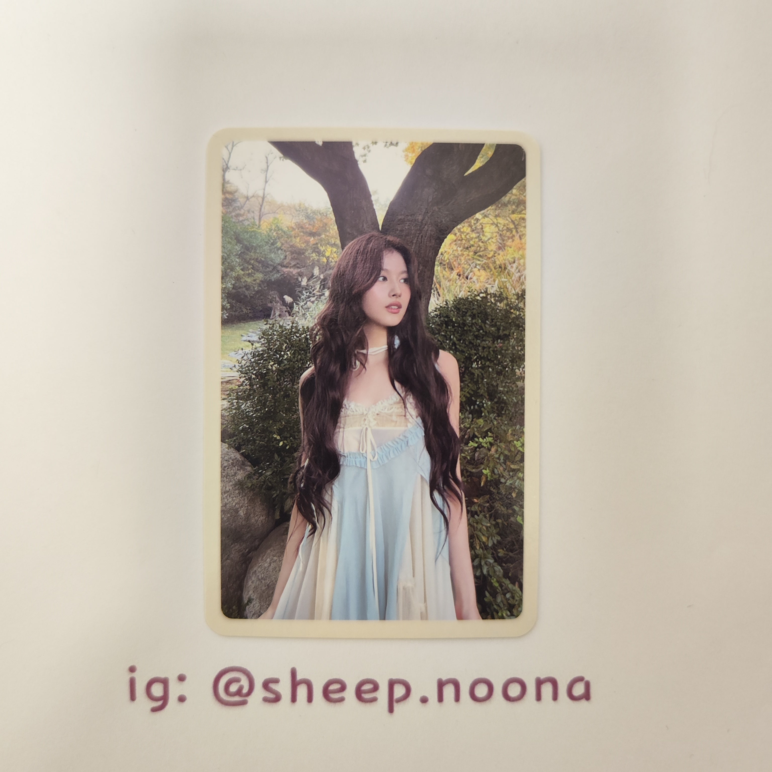 Photocard Sana Twice