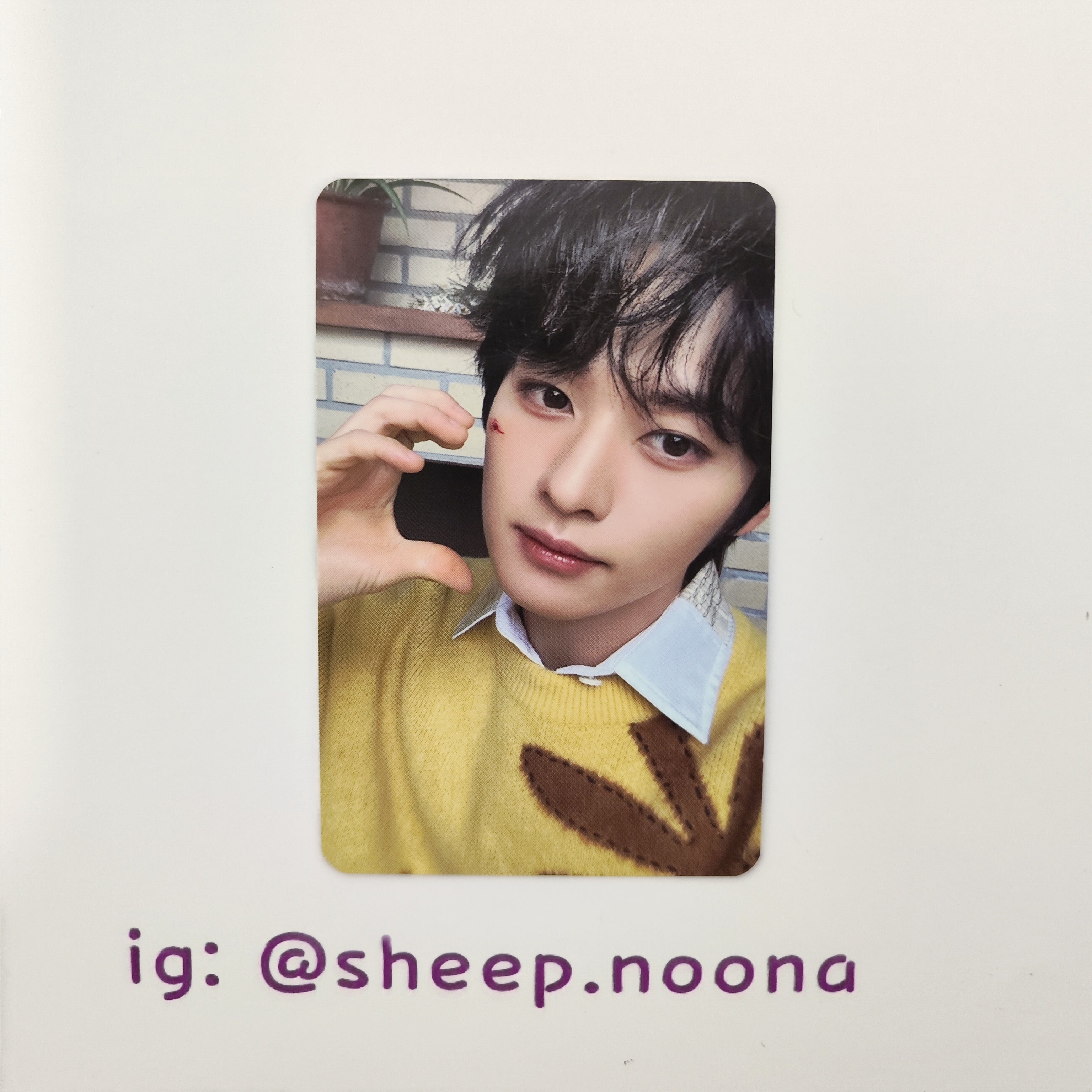 Photocards Lee Know SKZ