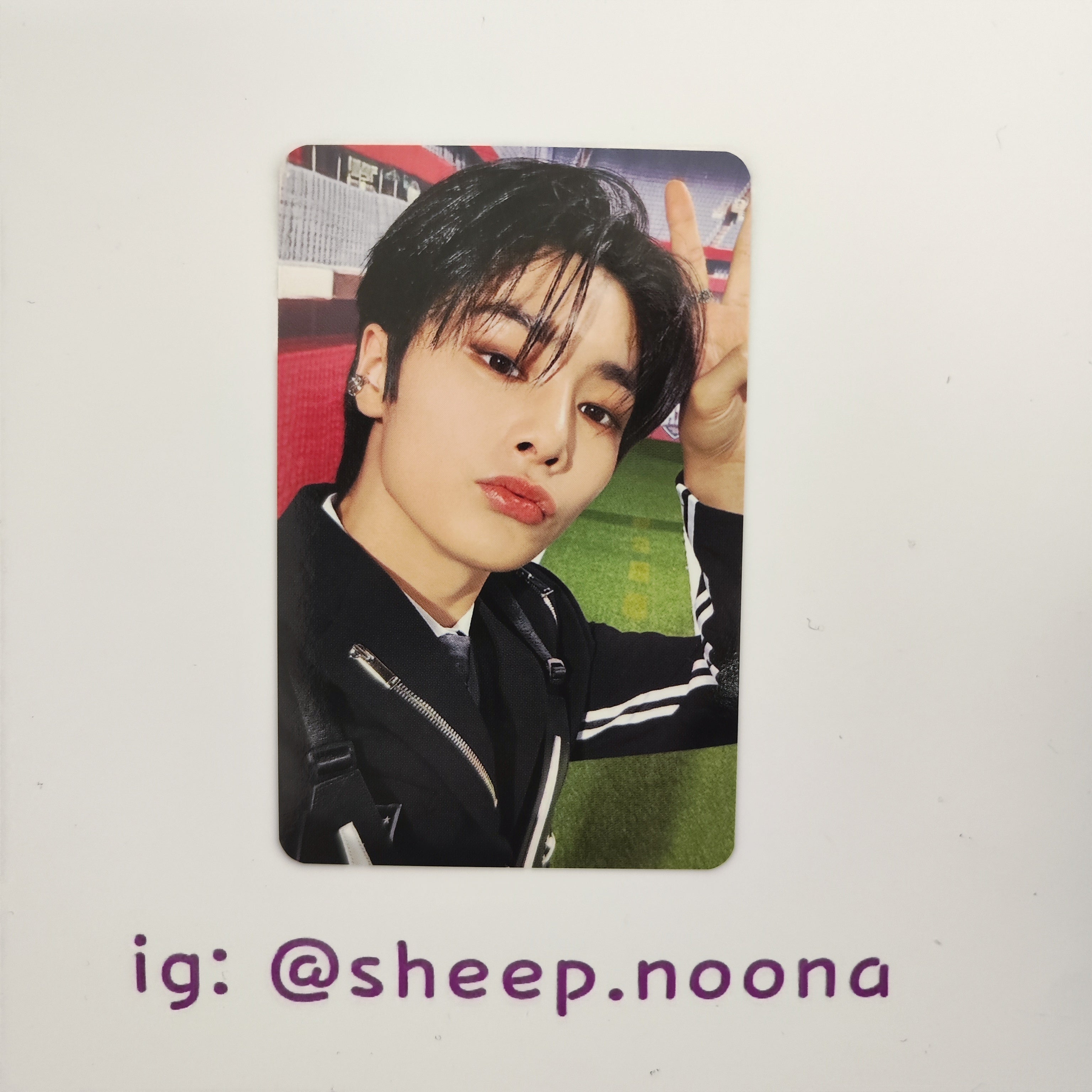 Photocards I.N. SKZ