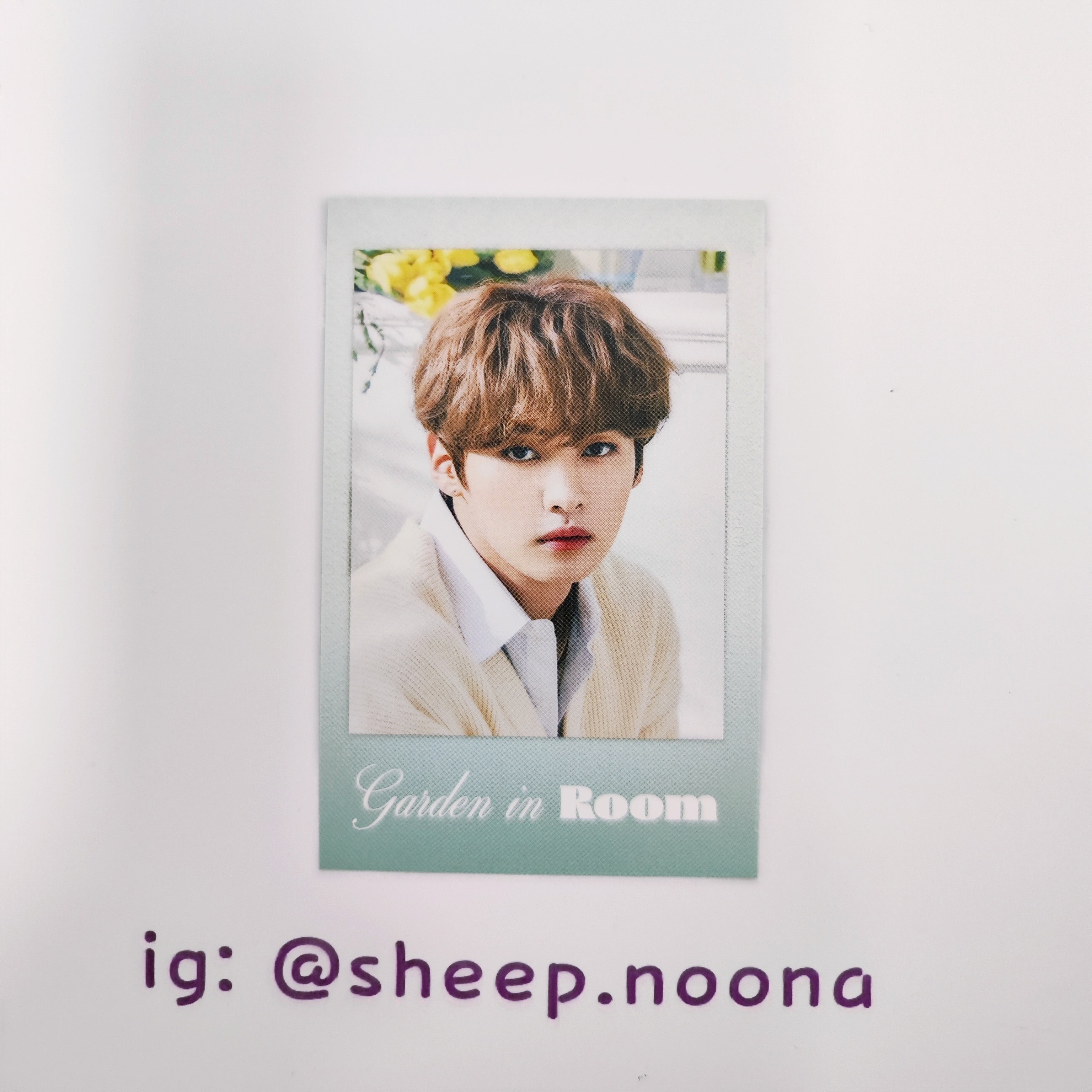 Photocards Lee Know SKZ