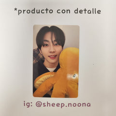 Photocards Jungwon Enhypen