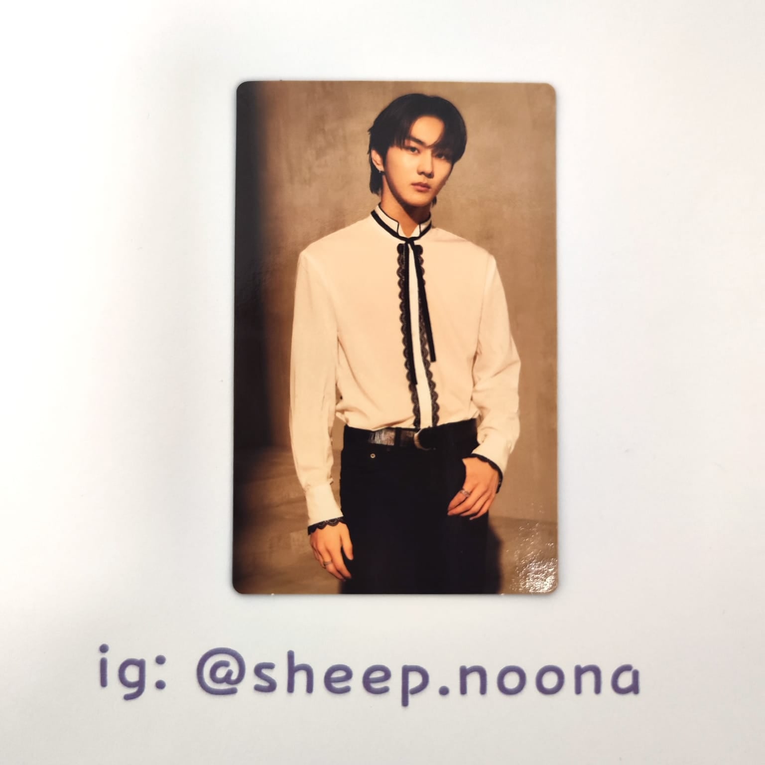 Photocards Jungwon Enhypen
