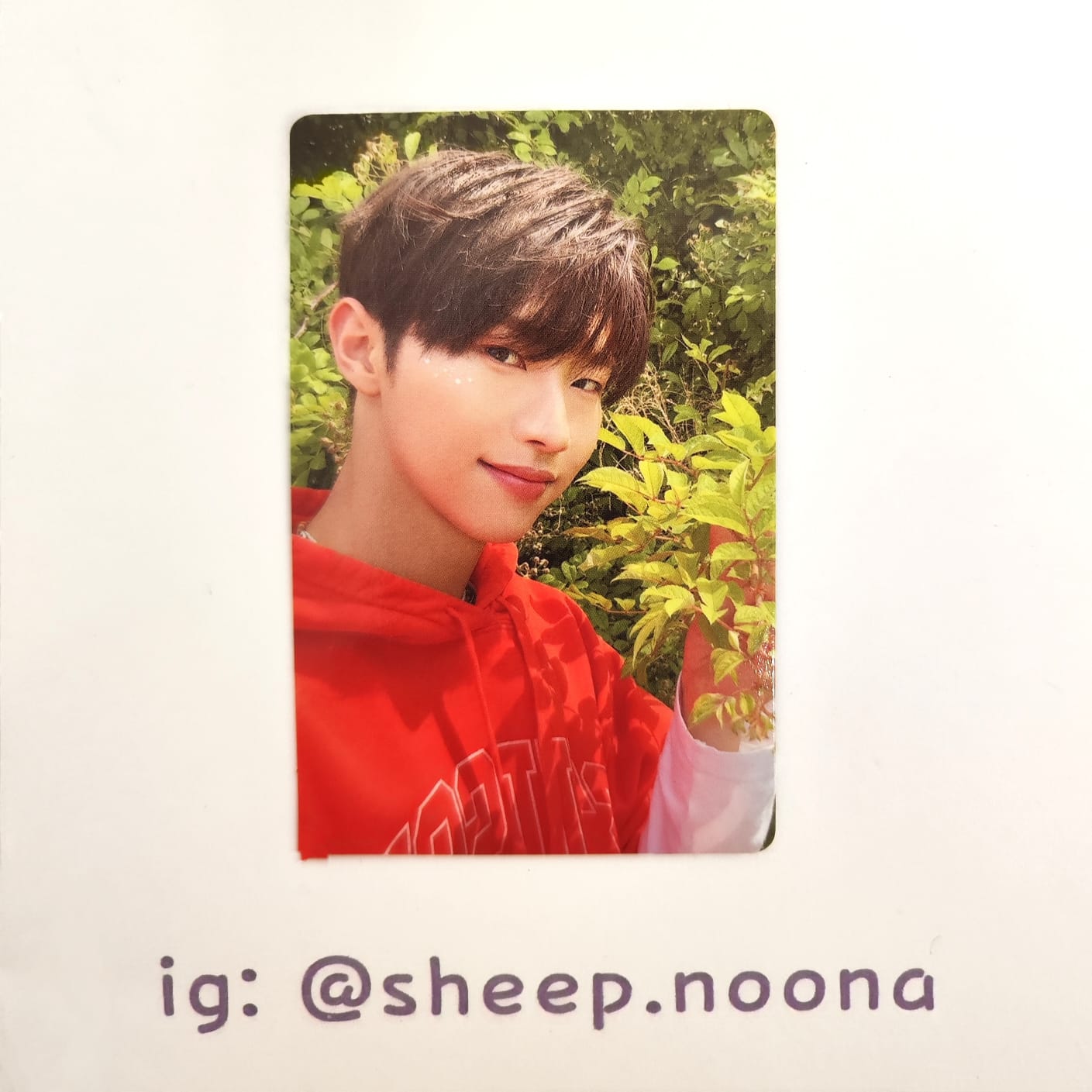 Photocards Xikers
