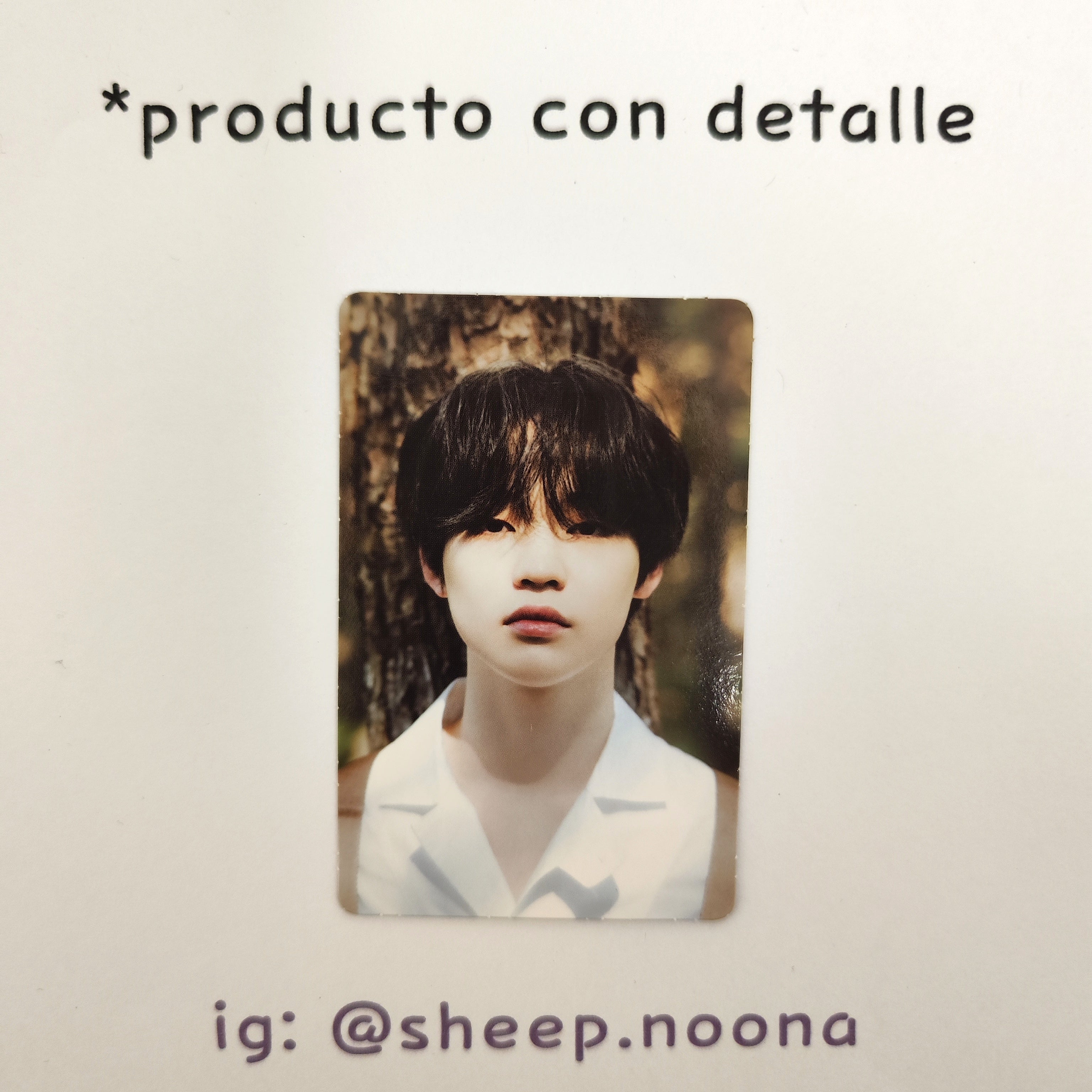 Photocards Chenle NCT Dream