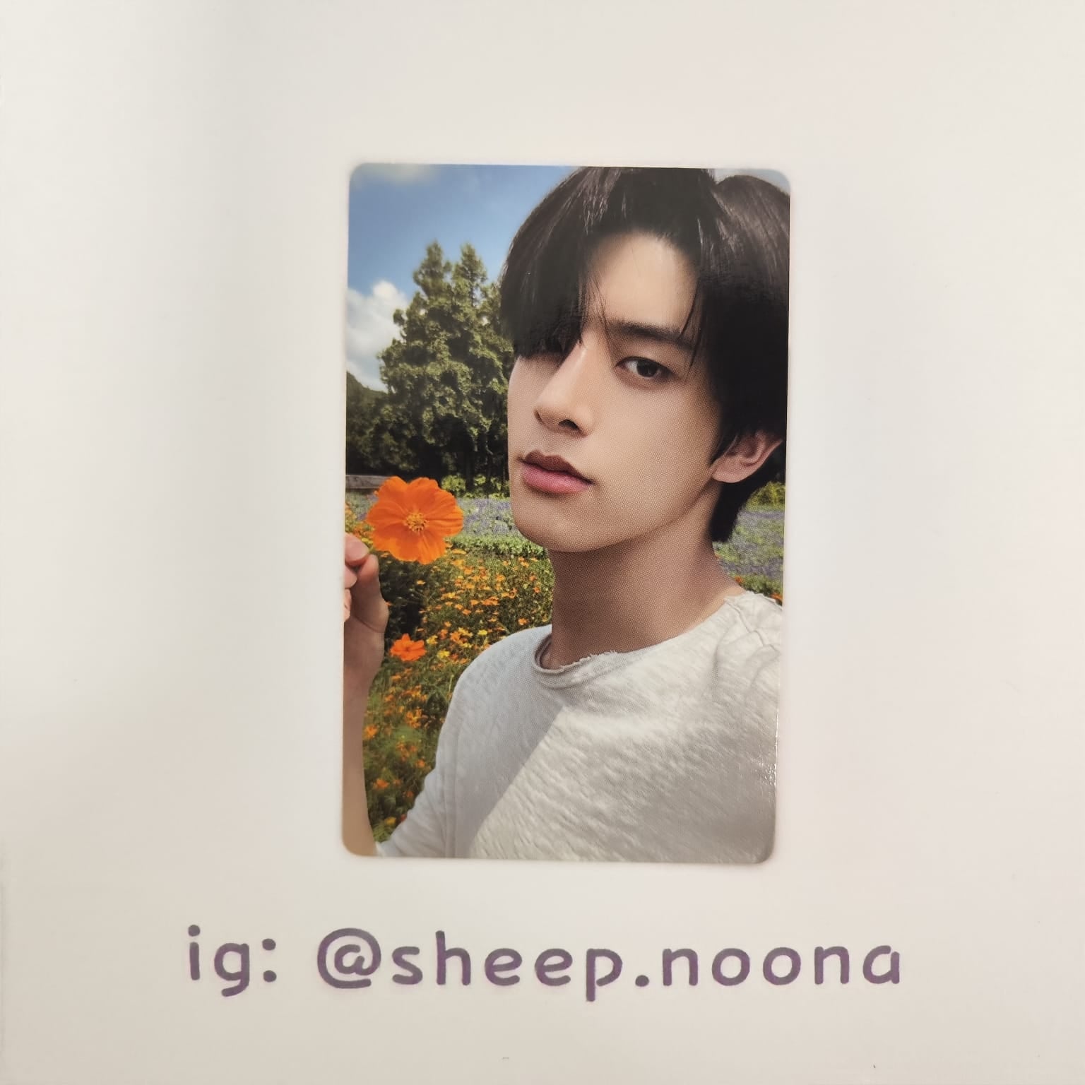 Photocards Jake Enhypen