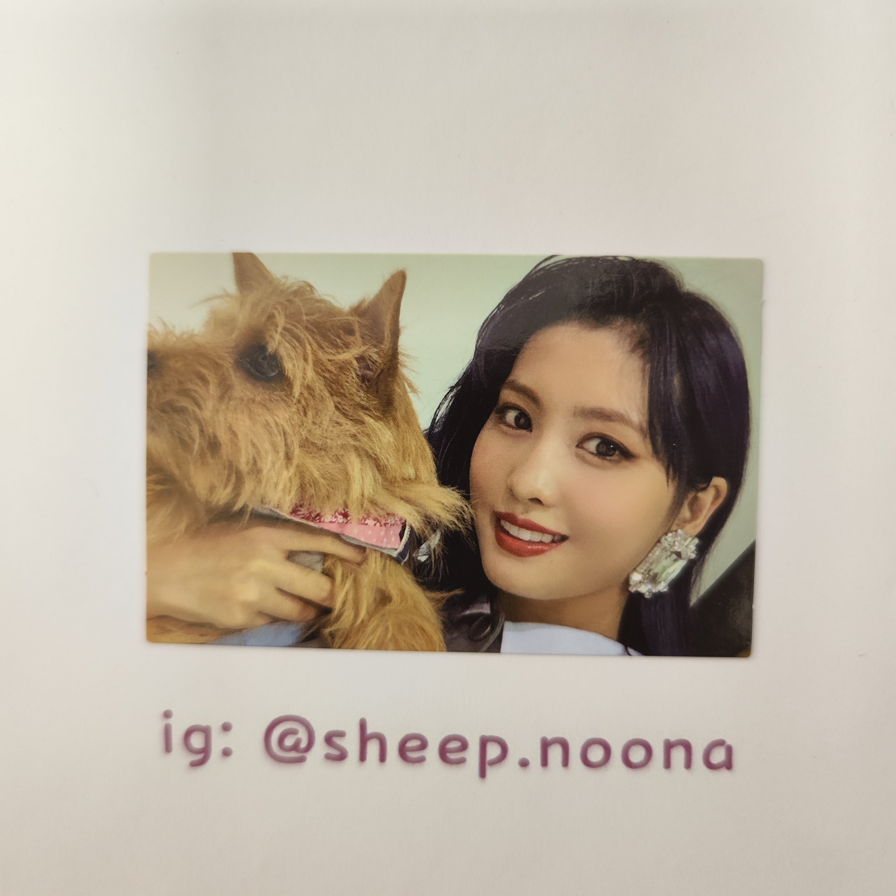 Photocards Momo Twice