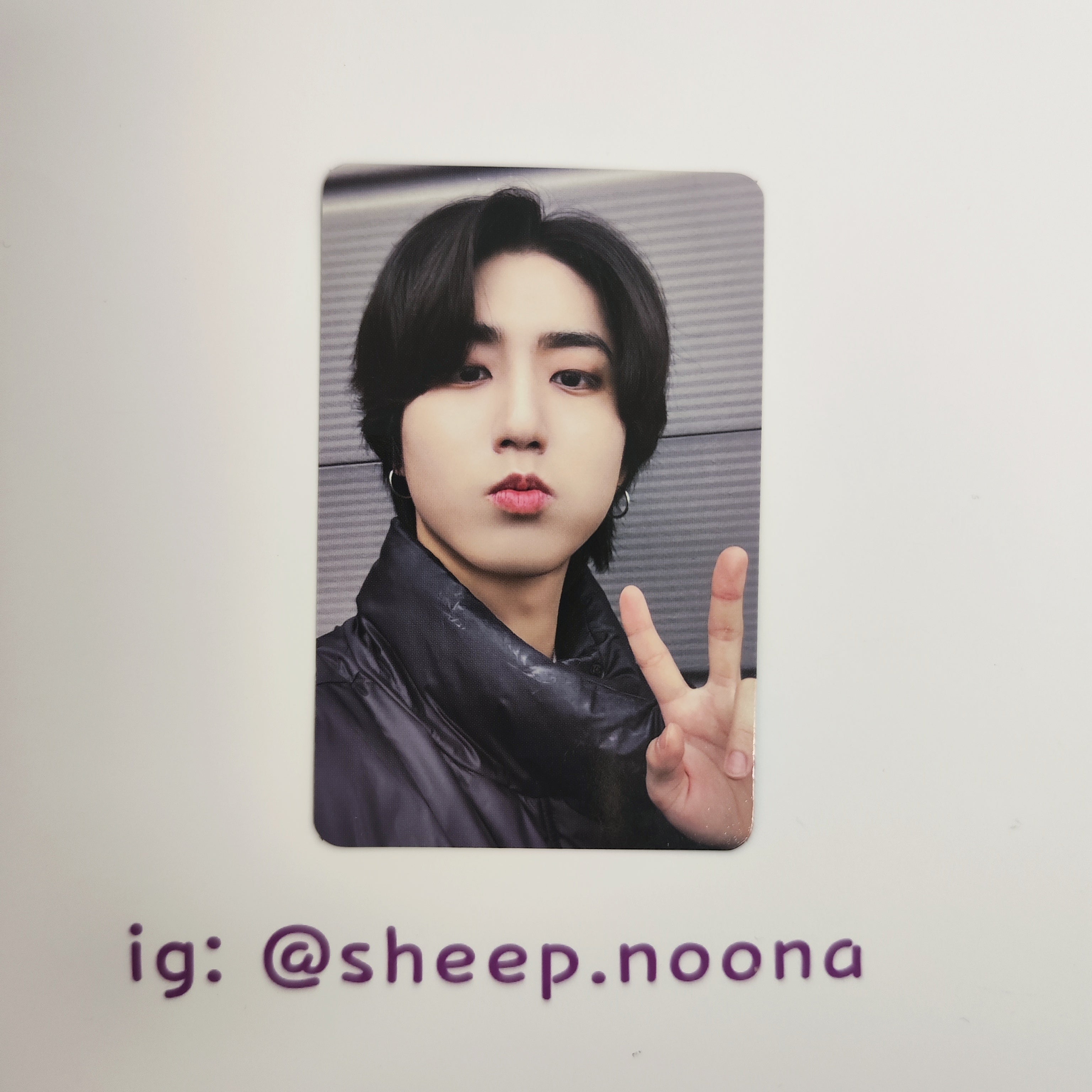 Photocards Han SKZ