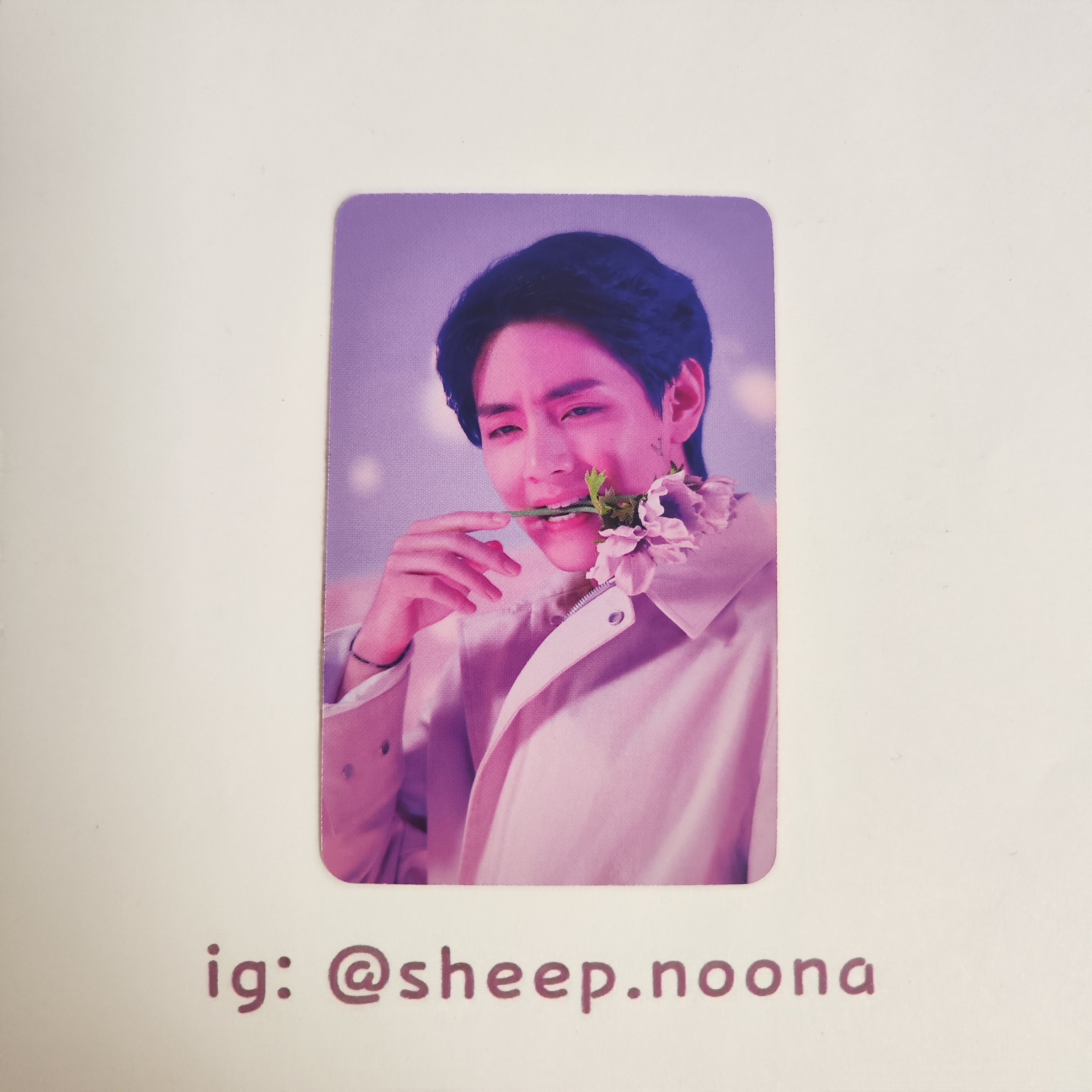 Photocards V BTS