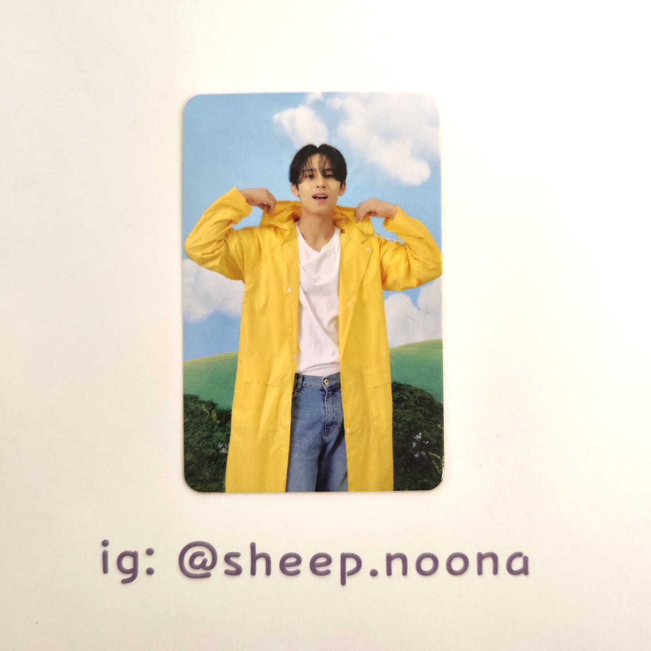 Photocards Mingyu Seventeen