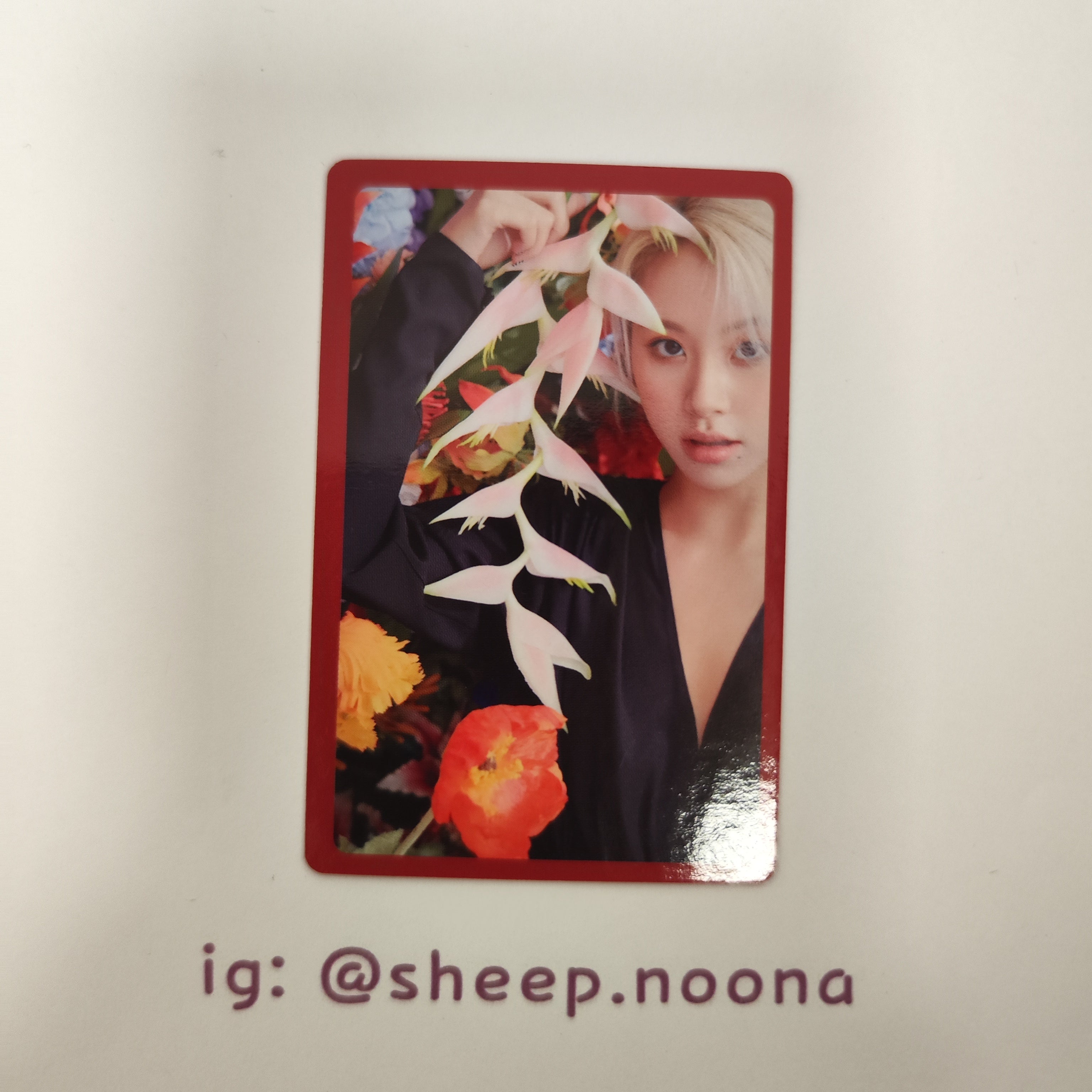 Photocards Chaeyoung Twice