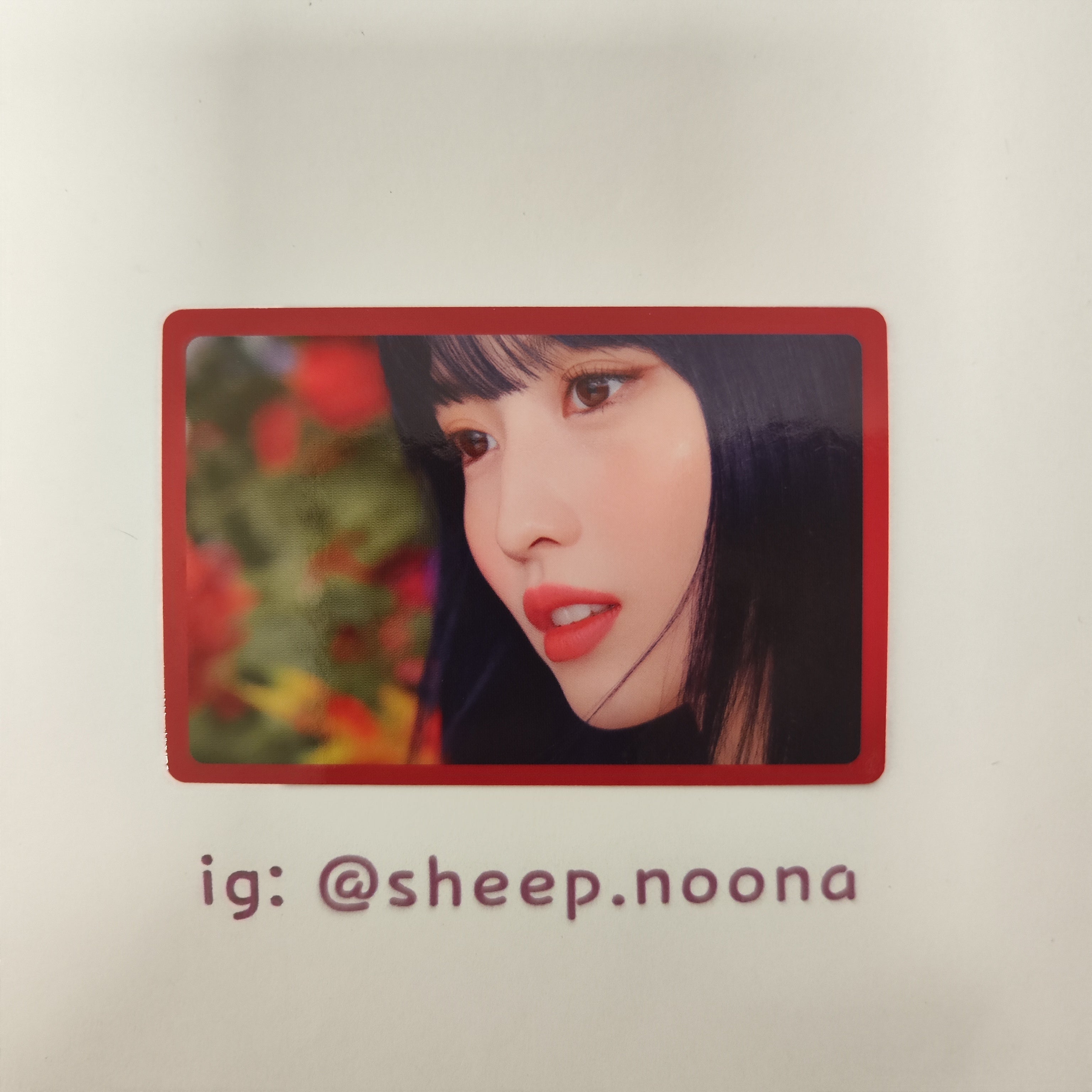 Photocards Momo Twice