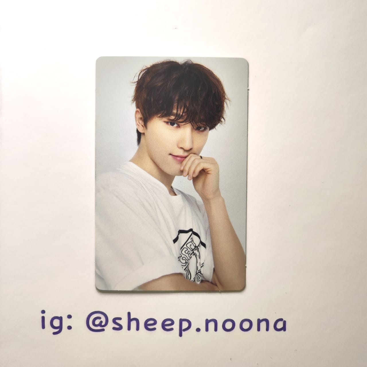 Photocards Dino Seventeen