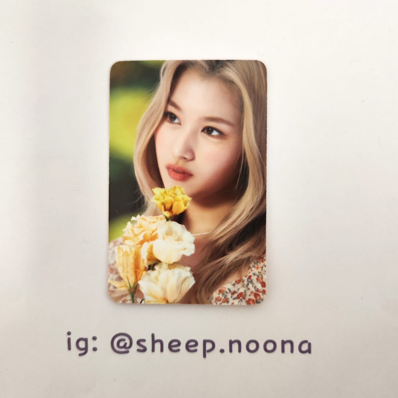 Photocard Sana Twice