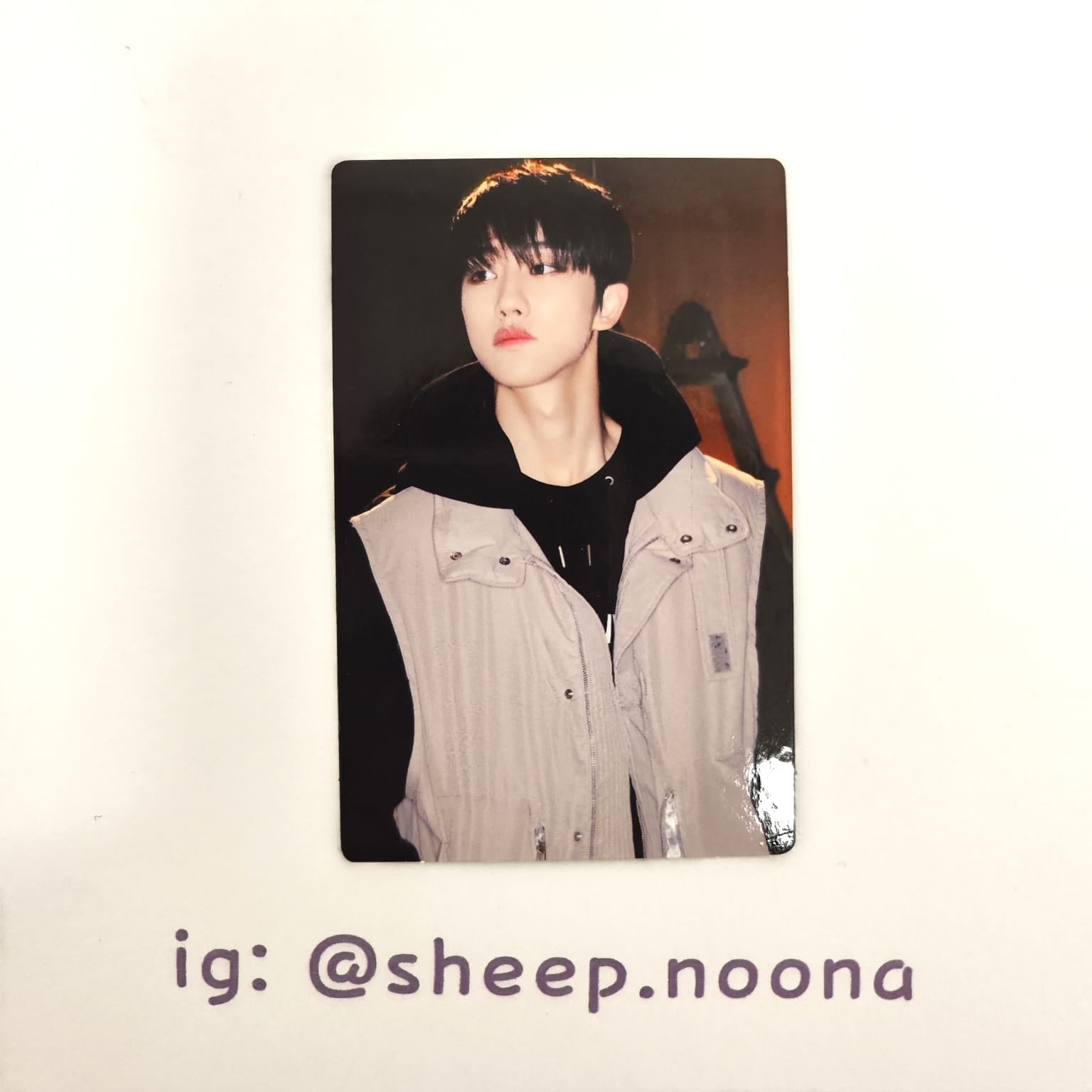 Photocards The8 Seventeen