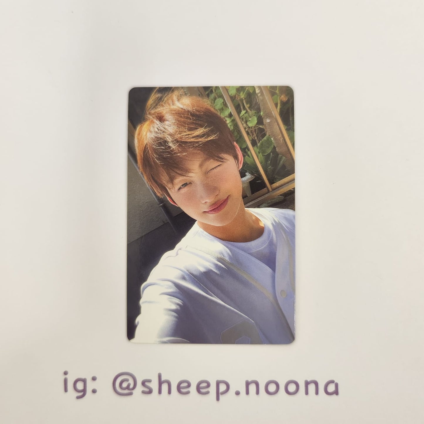 Photocards Jihoon TWS