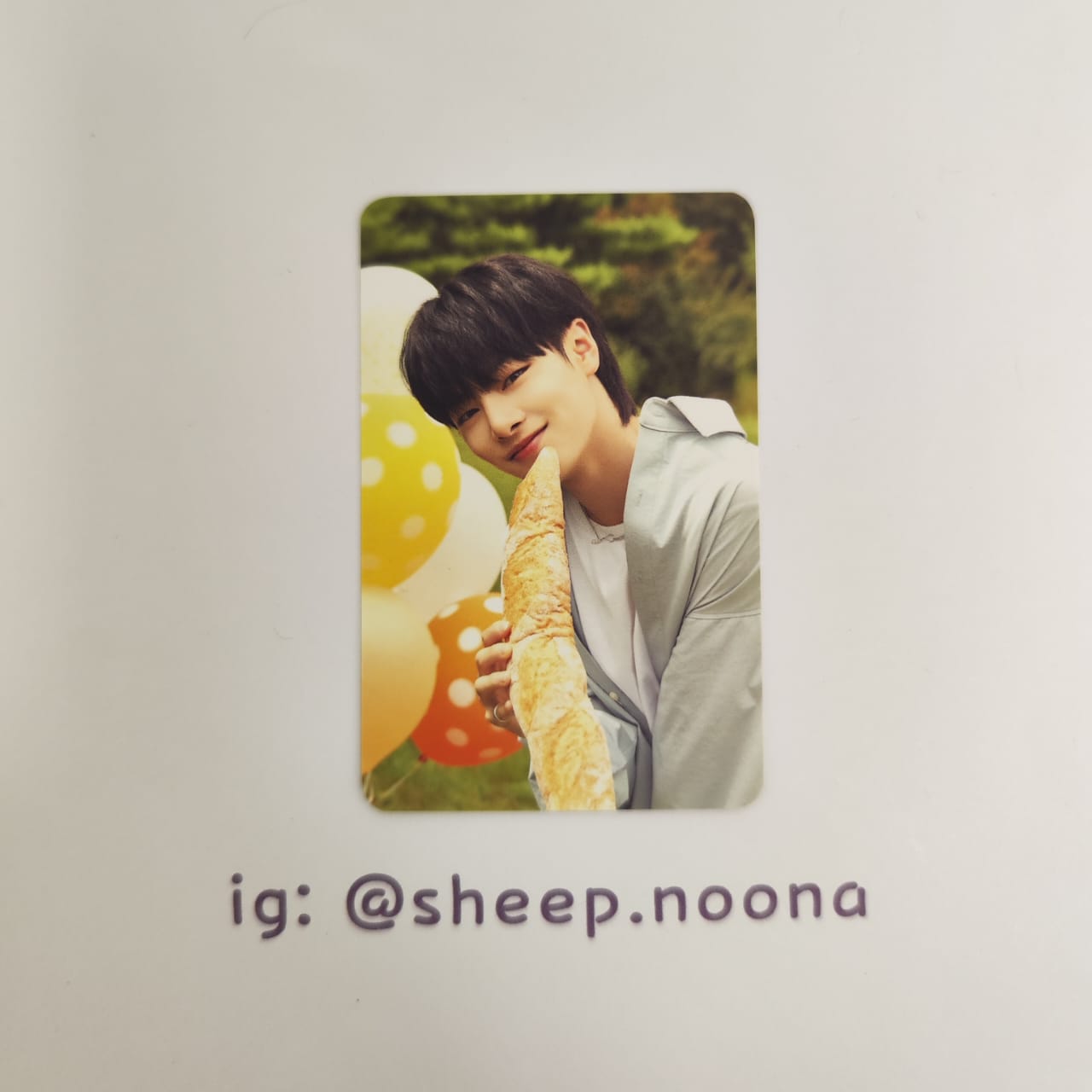 Photocards I.N. SKZ