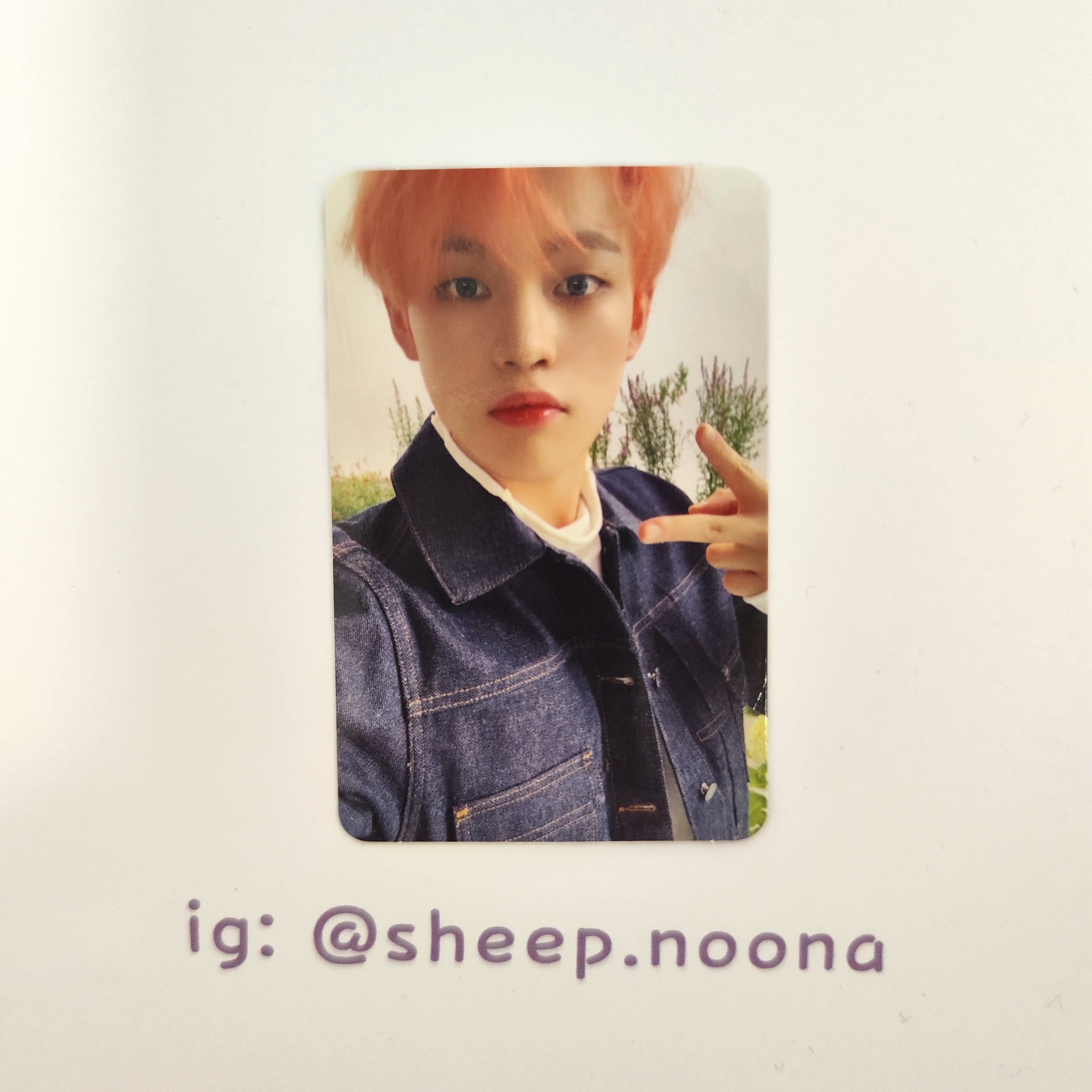 Photocards Chenle NCT Dream