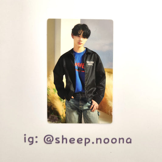 Photocards Niki Enhypen