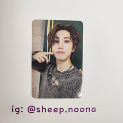 Photocards Han SKZ