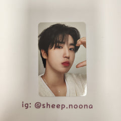 Photocards Han SKZ