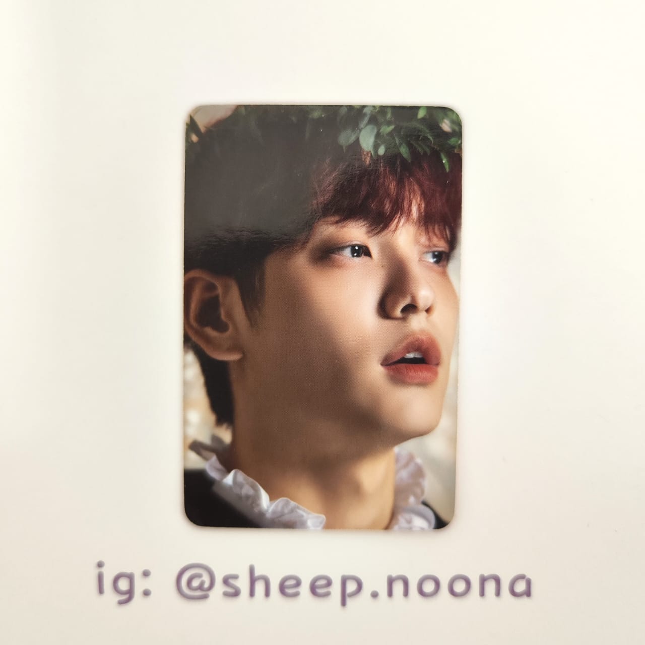 Photocards Soobin TXT