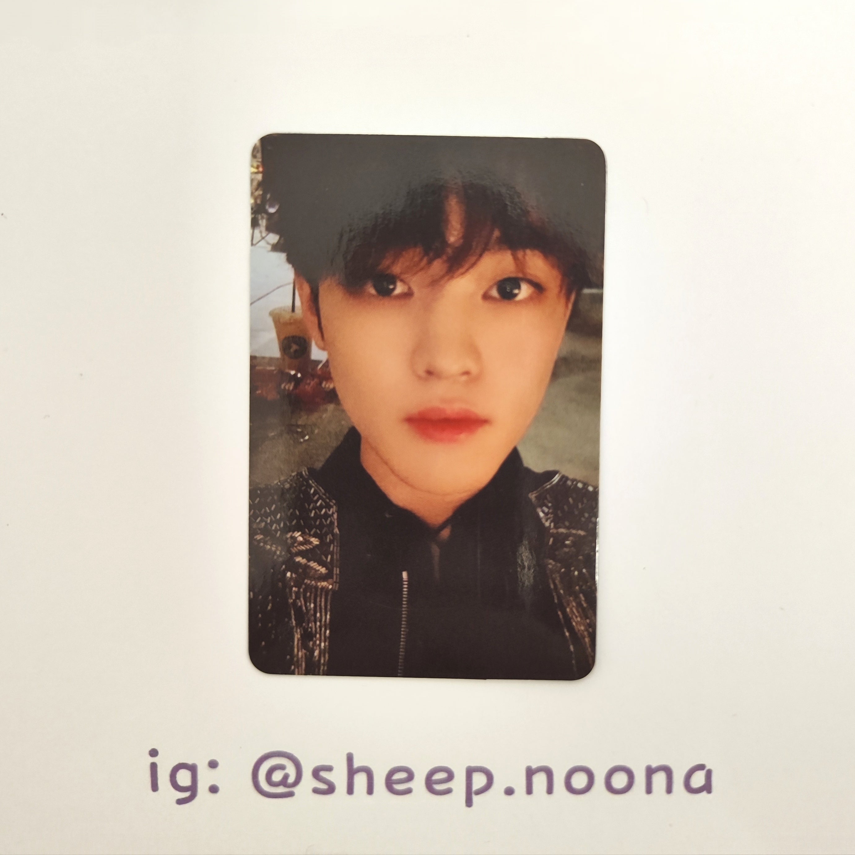 Photocards Chenle NCT Dream