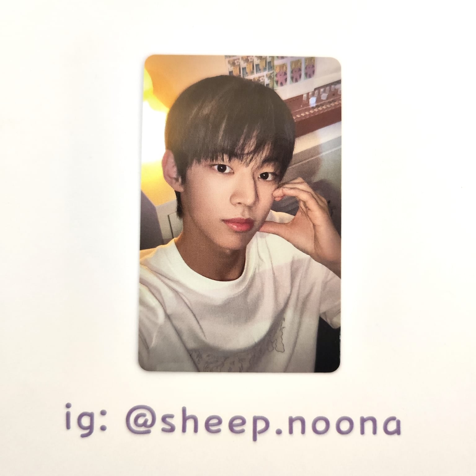Photocards Dohoon TWS