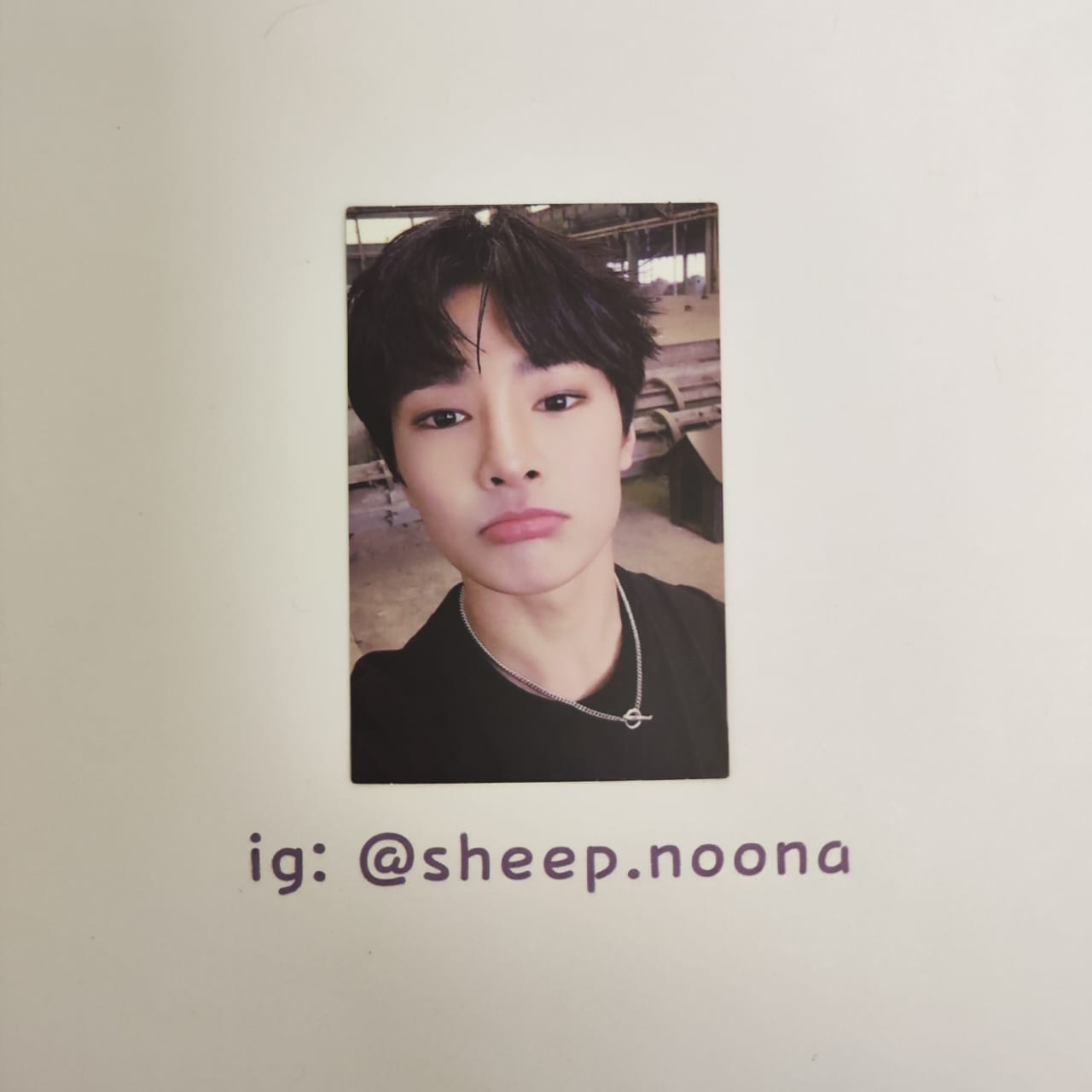 Photocards I.N. SKZ
