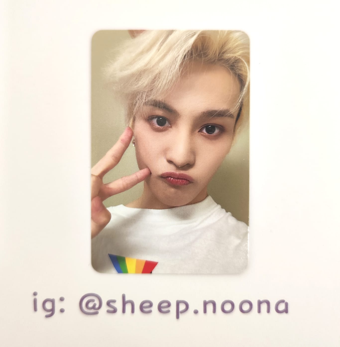 Photocards Yangyang Wayv