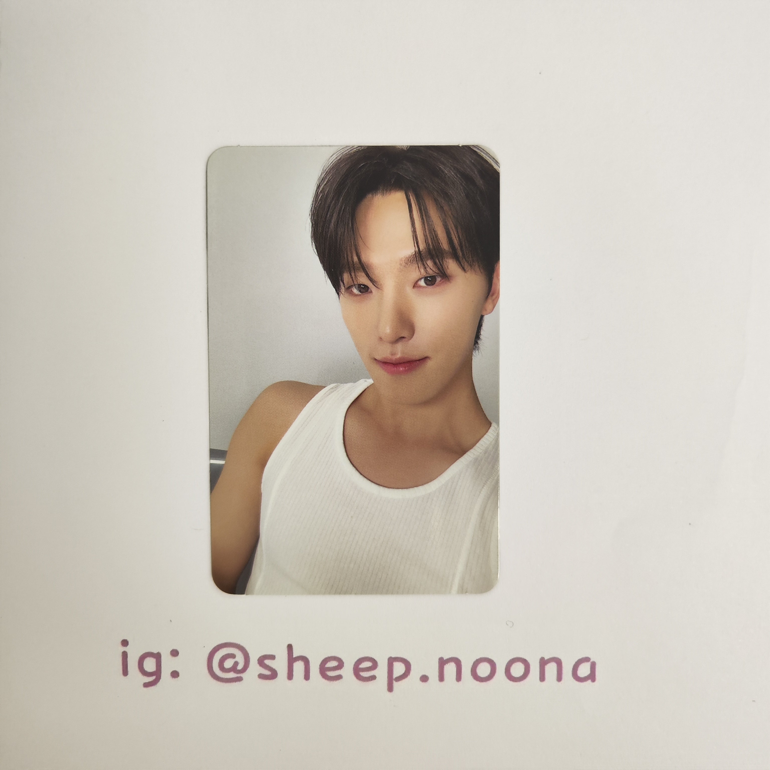 Photocards Dino Seventeen