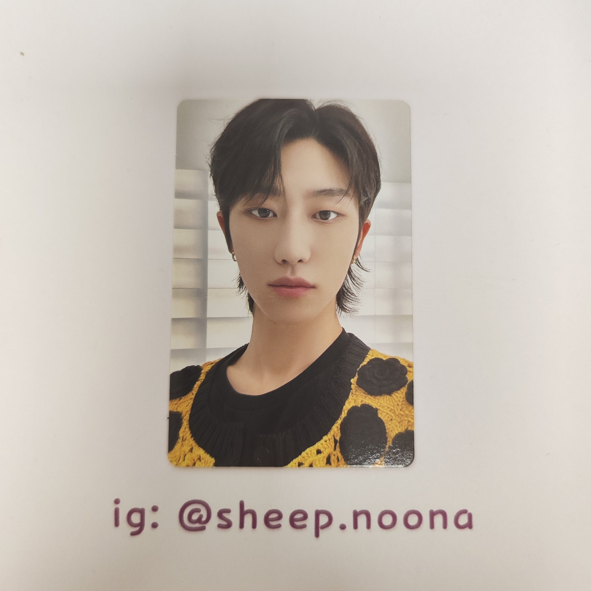 Photocards The8 Seventeen