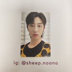 Photocards The8 Seventeen