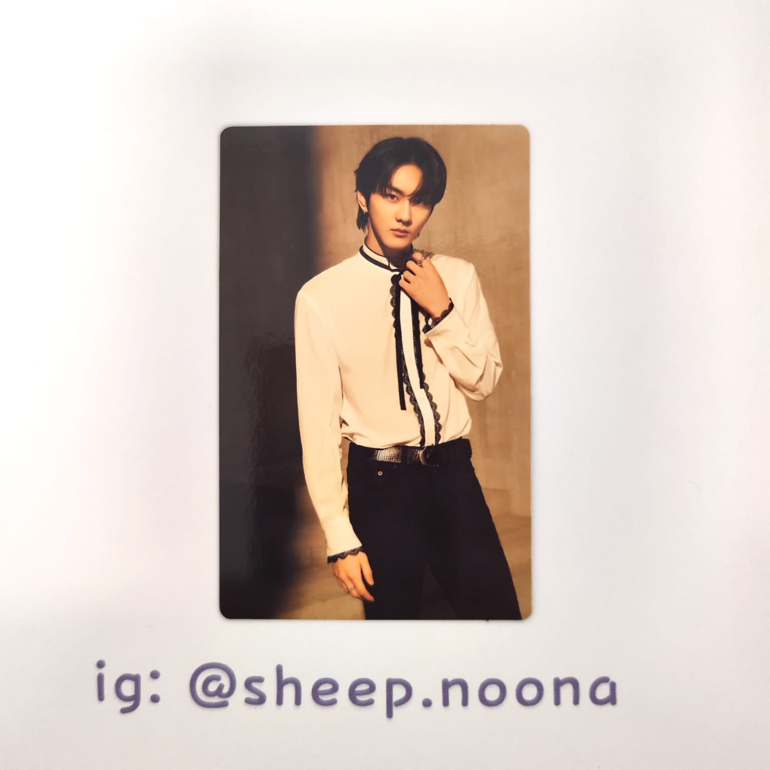 Photocards Jungwon Enhypen