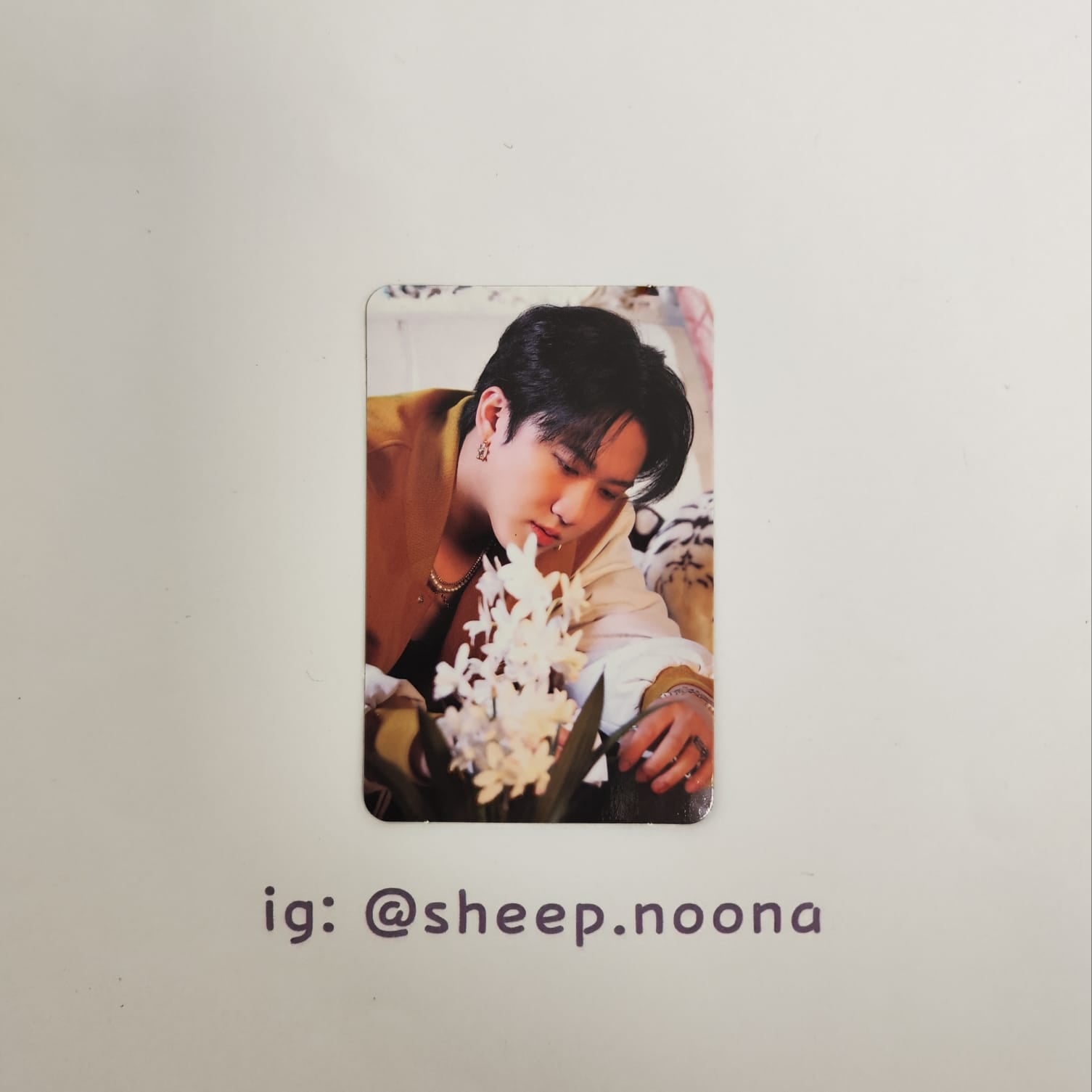 Photocards Changbin SKZ