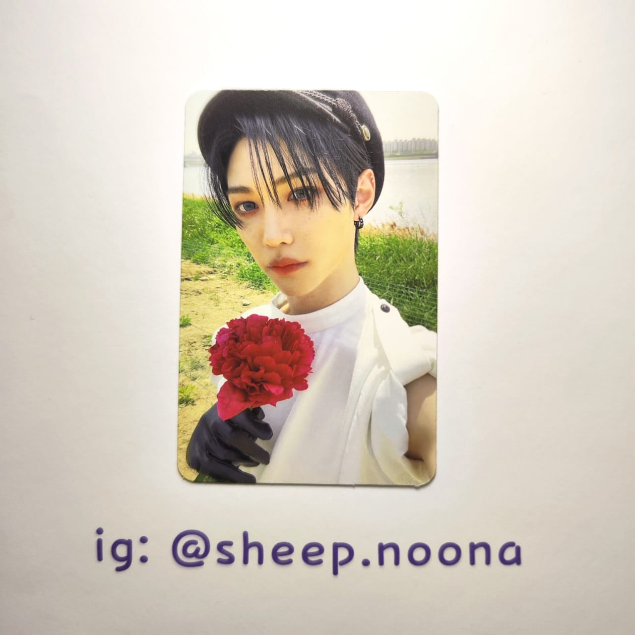 Photocards Felix SKZ