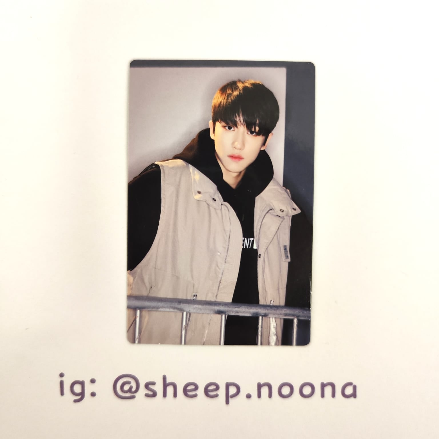 Photocards The8 Seventeen
