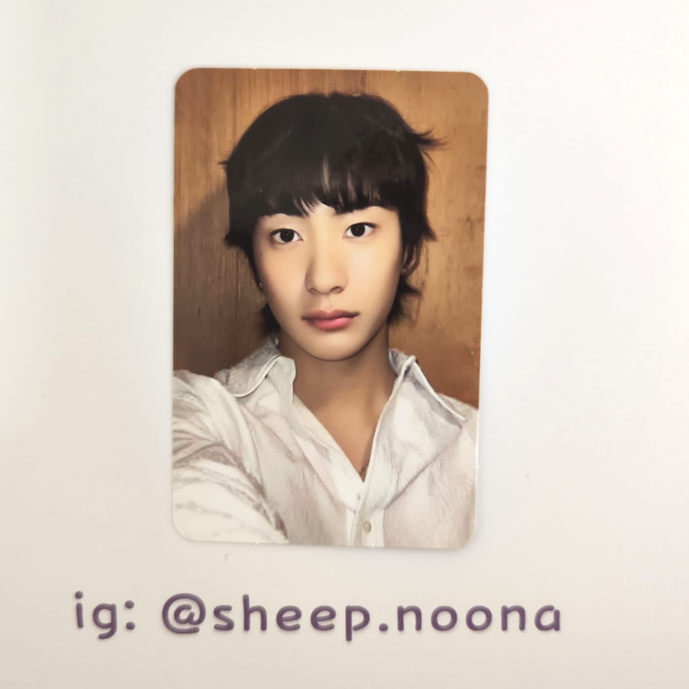 Photocards Anton Riize