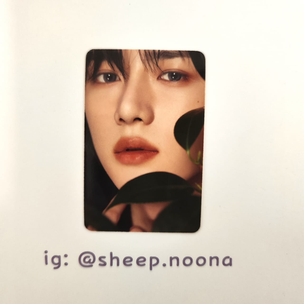 Photocards Beomgyu TXT