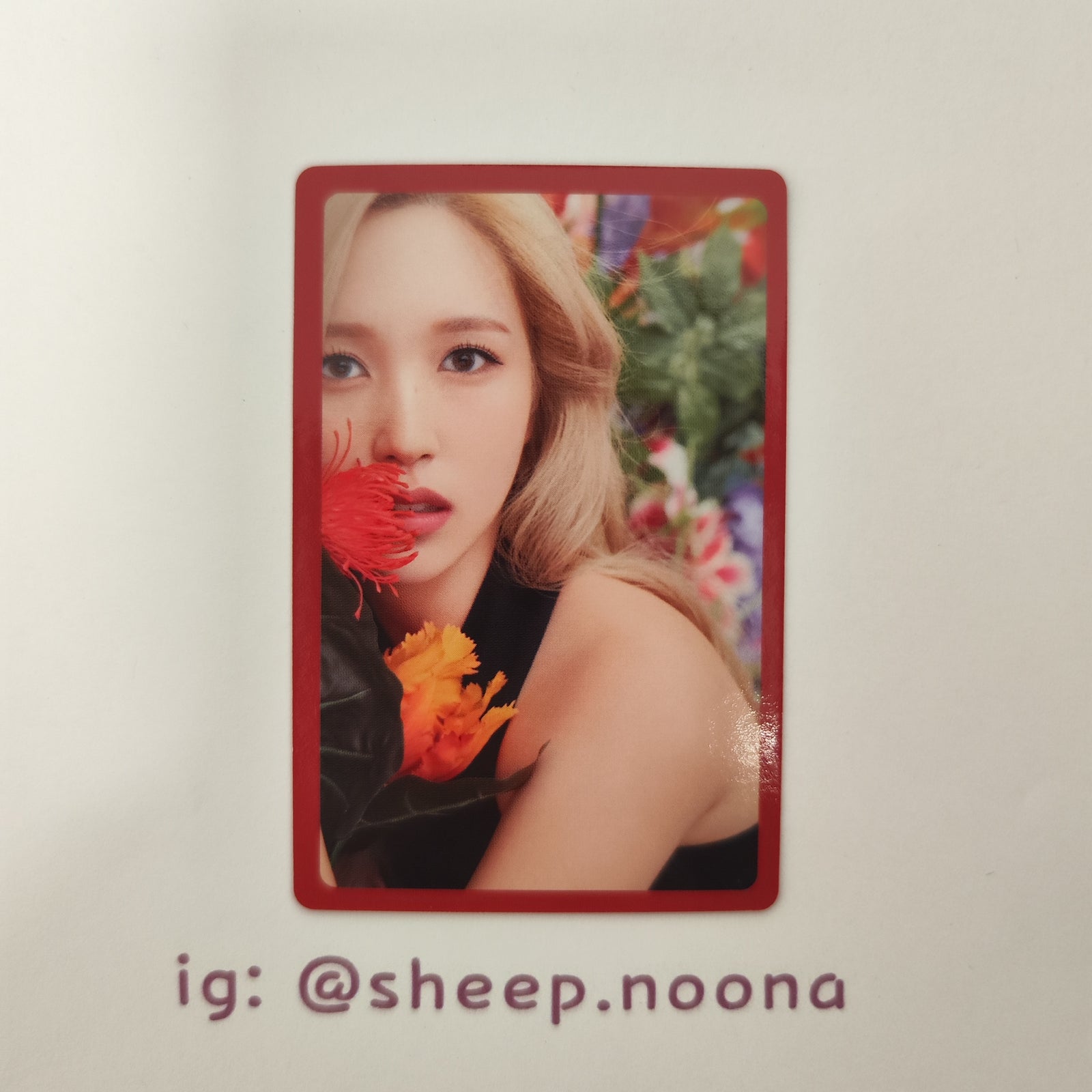 Photocards Mina Twice