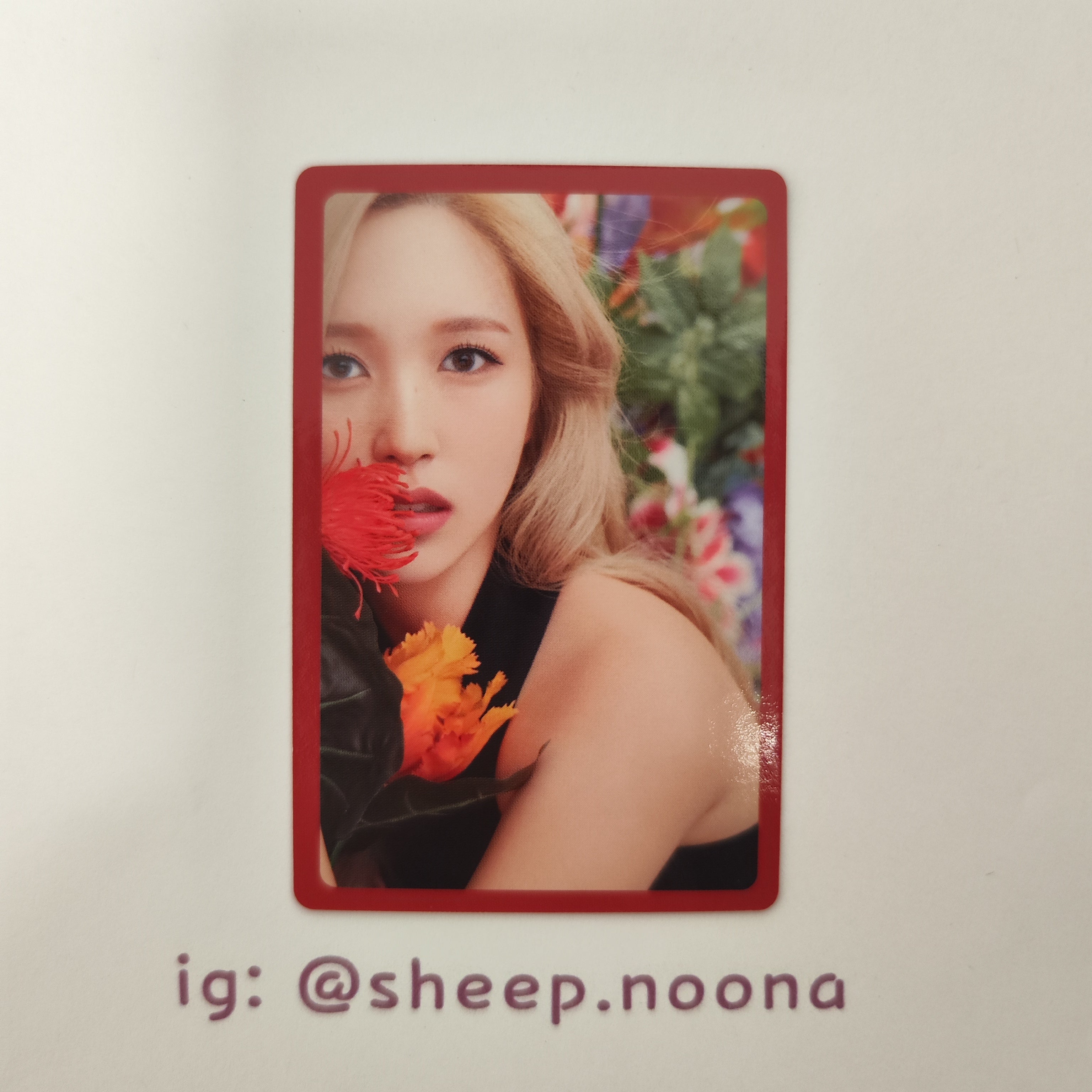 Photocards Mina Twice