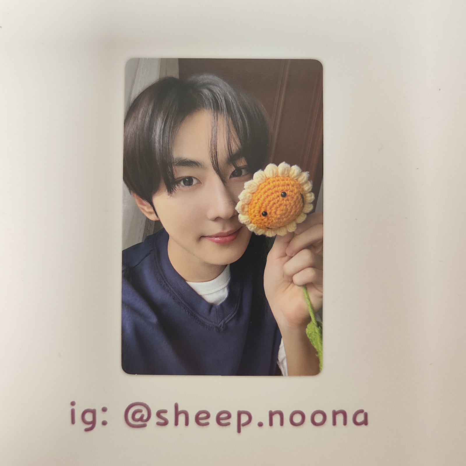 Photocards Jungwon Enhypen