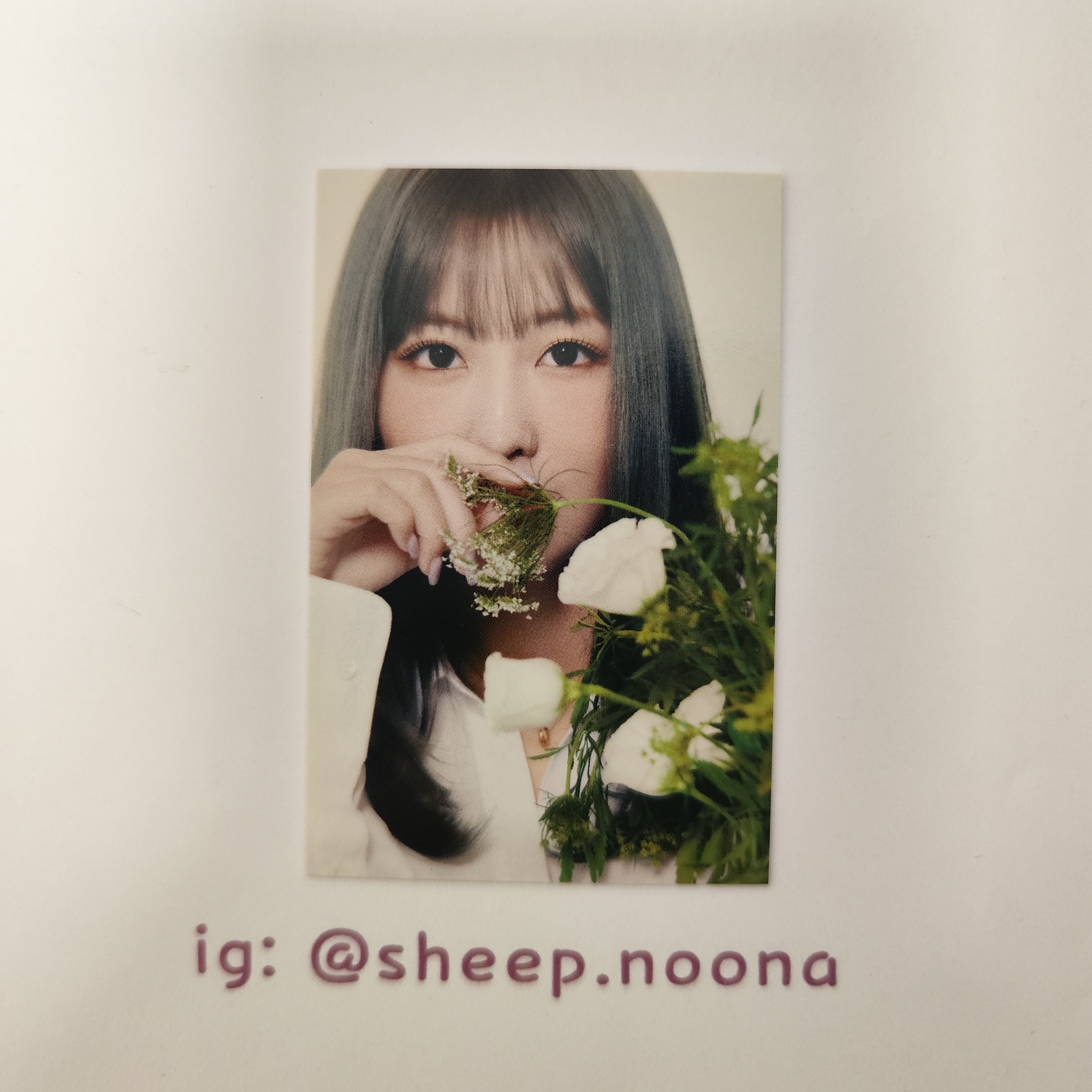Photocards Momo Twice