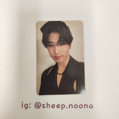Photocards Han SKZ