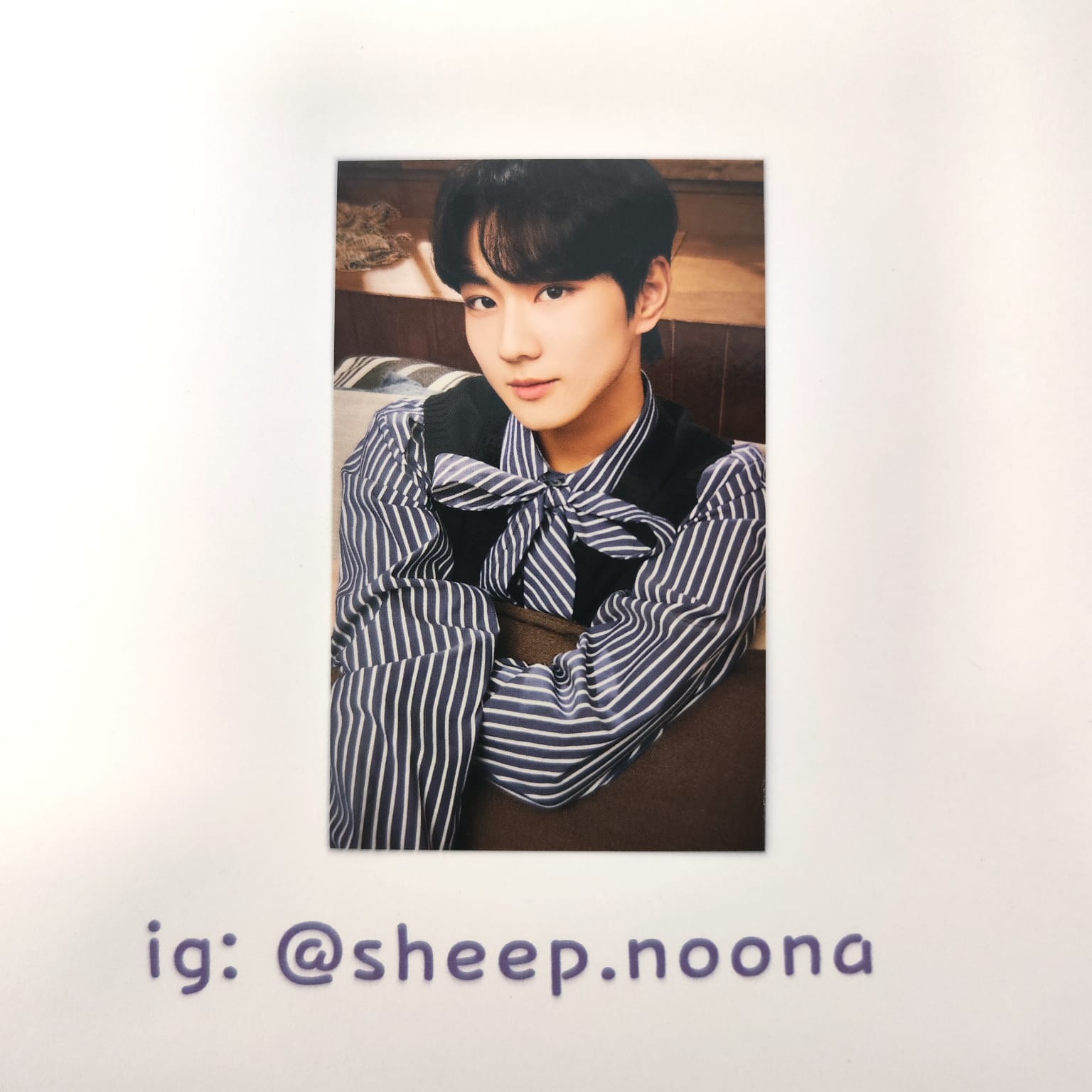 Photocards Jungwon Enhypen