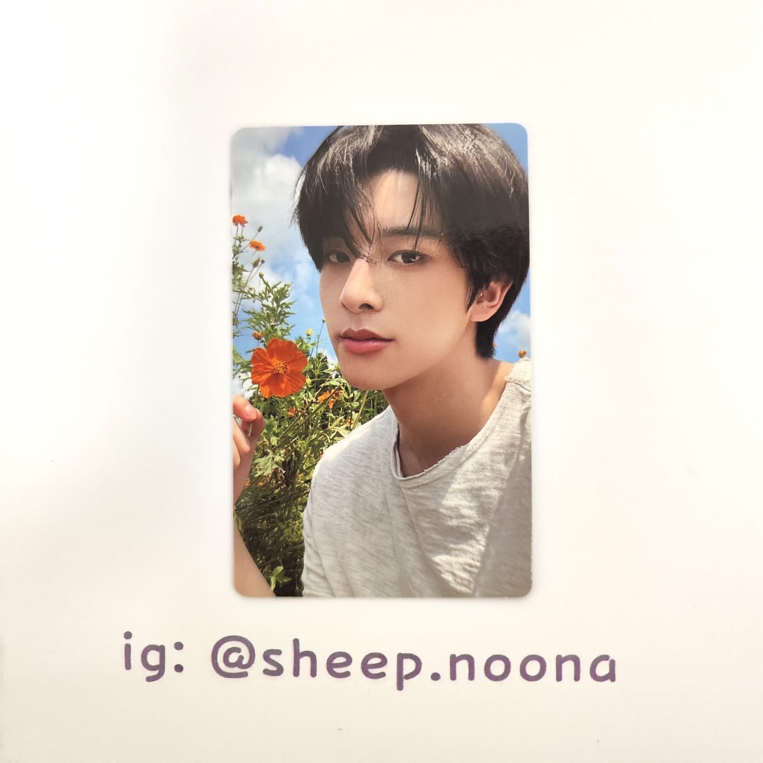 Photocards Jake Enhypen