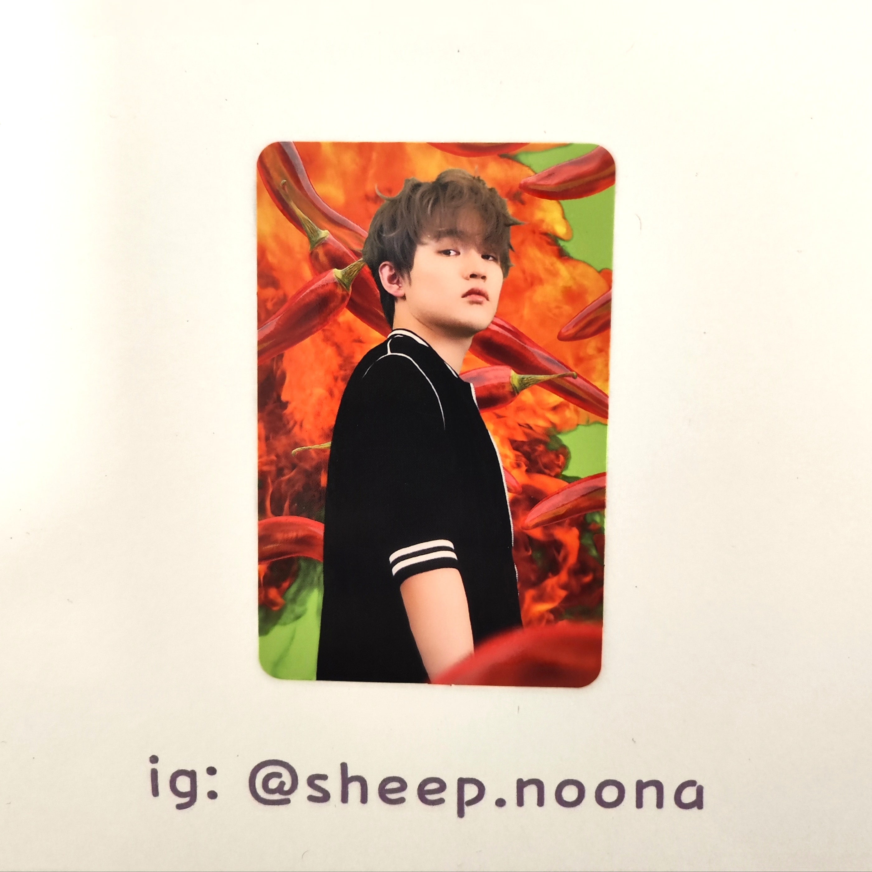 Photocards Chenle NCT Dream