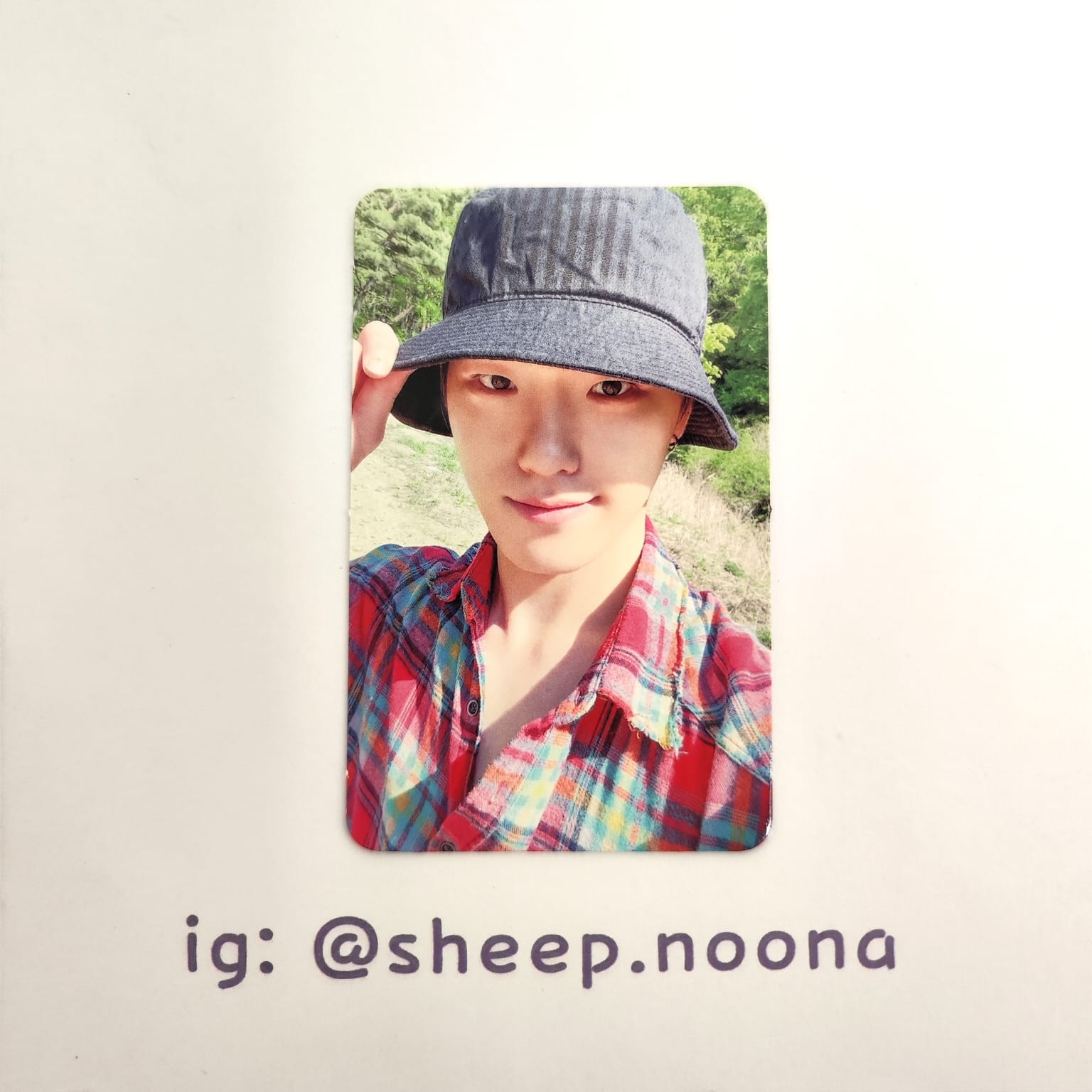 Photocards Dino Seventeen