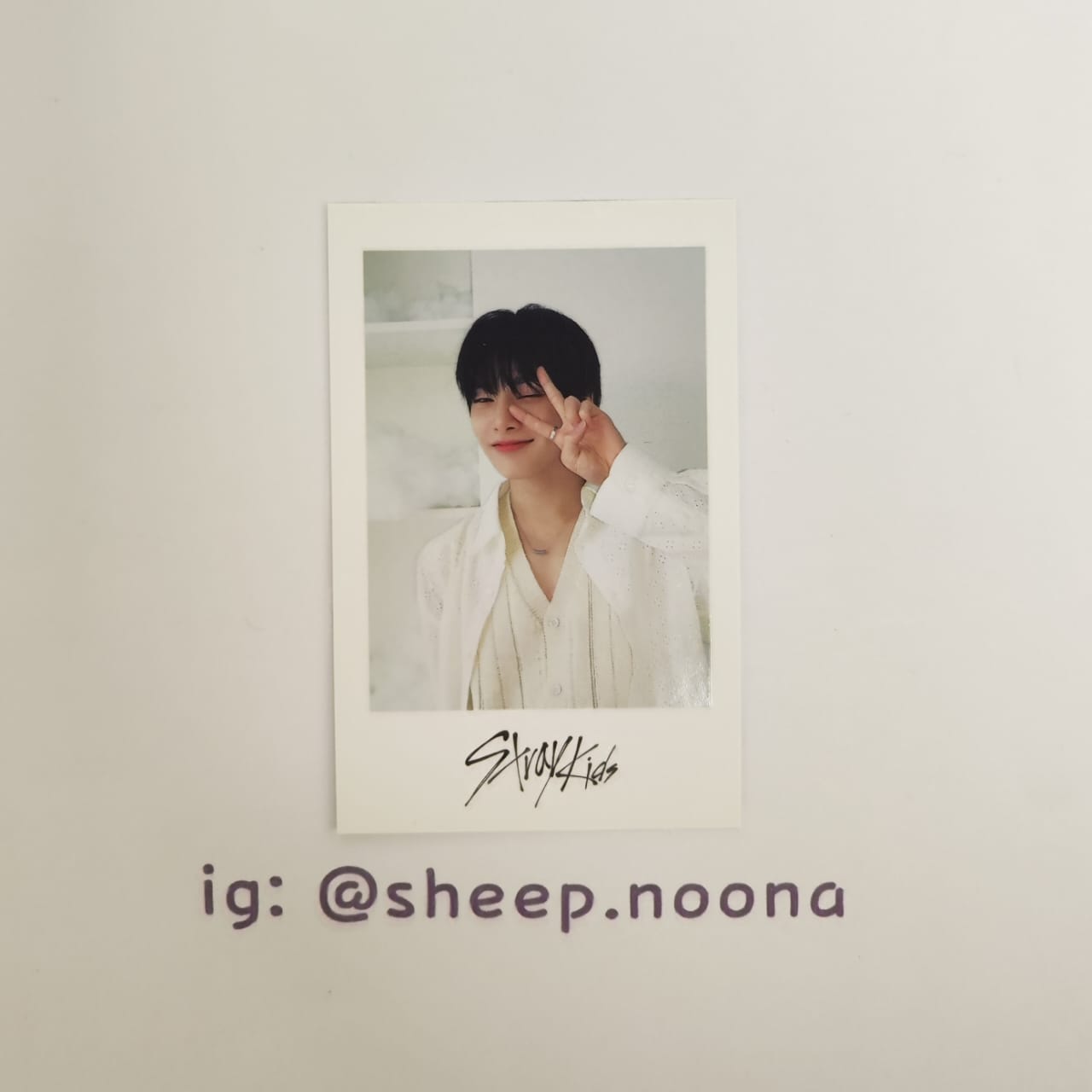 Photocards I.N. SKZ