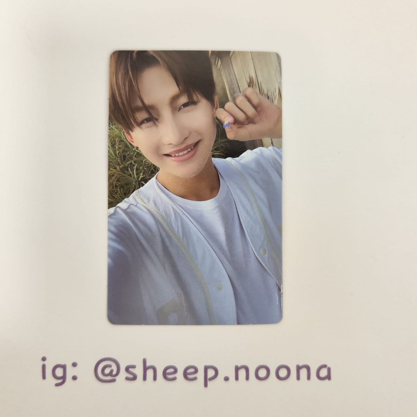 Photocards Jihoon TWS