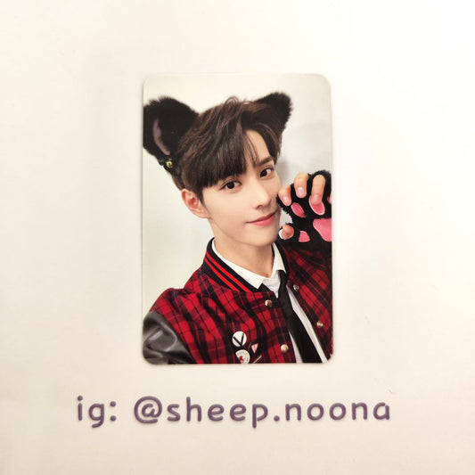 Photocards Xikers